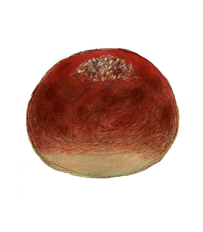 あんぱんのイラスト