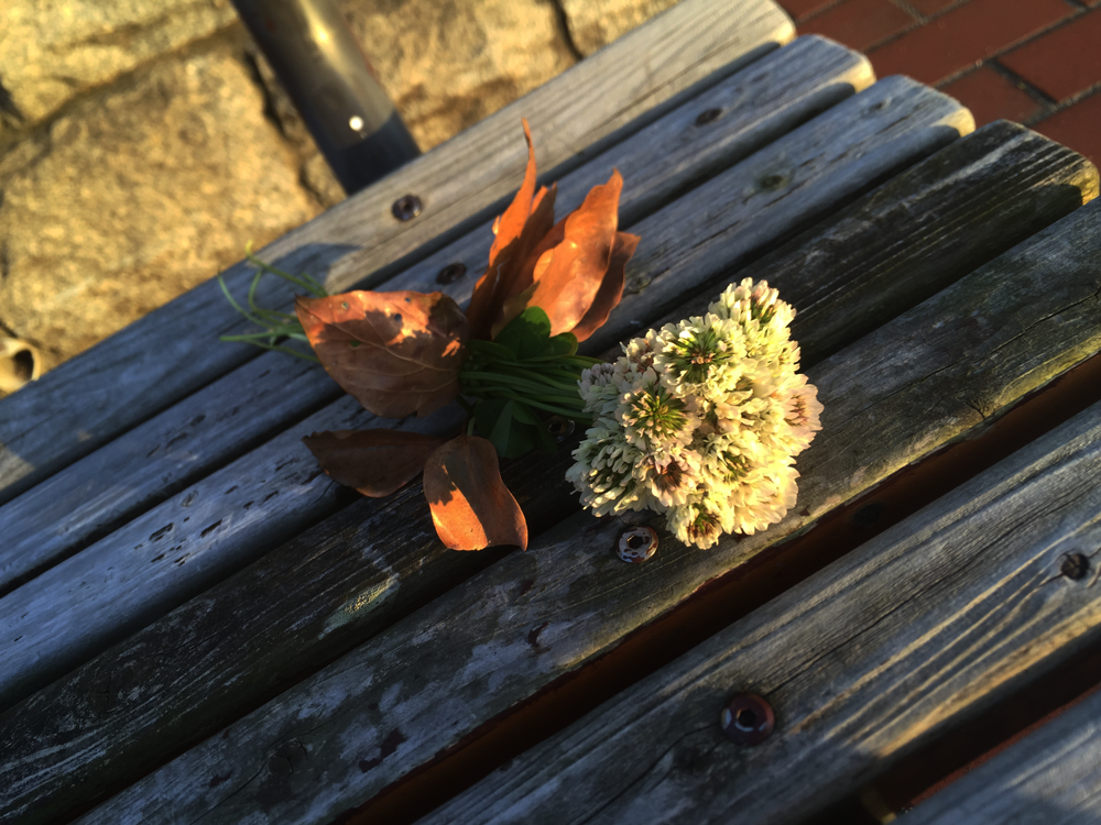 シロツメクサの花束