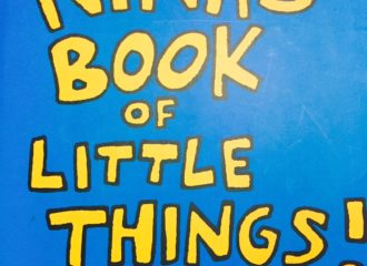 NINA'S BOOK OF LITTLE THINGS!