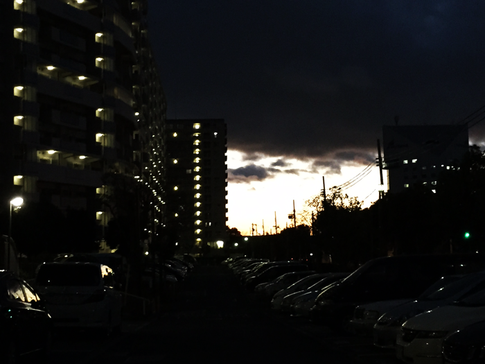 夕景の写真