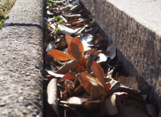 溝にあった落ち葉を照らす光