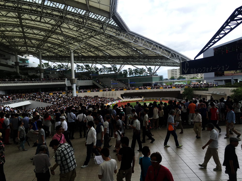阪神競馬場 写真