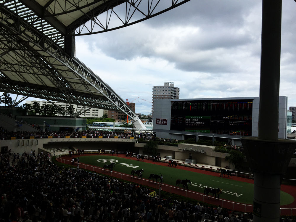 阪神競馬場 写真