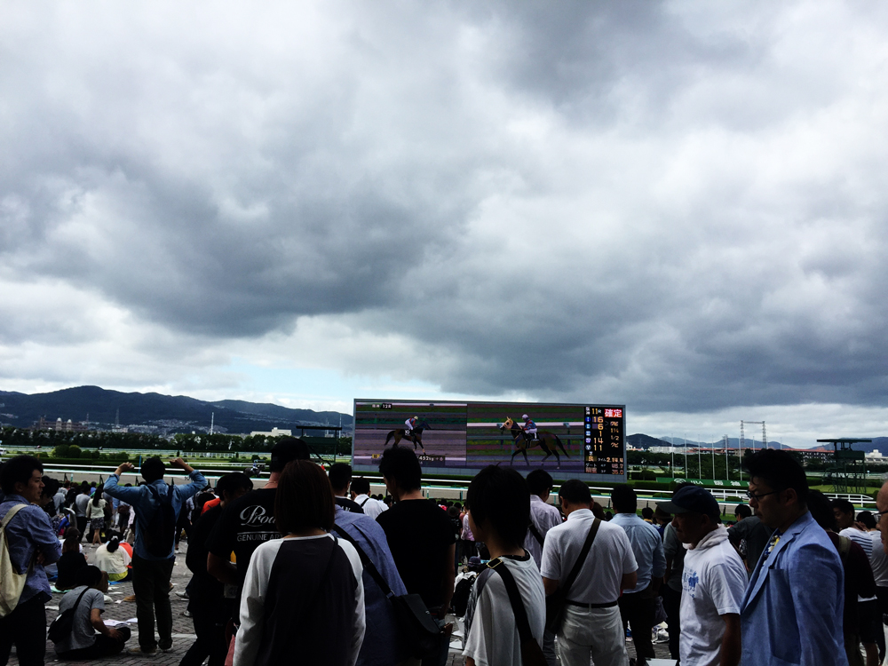 阪神競馬場 写真