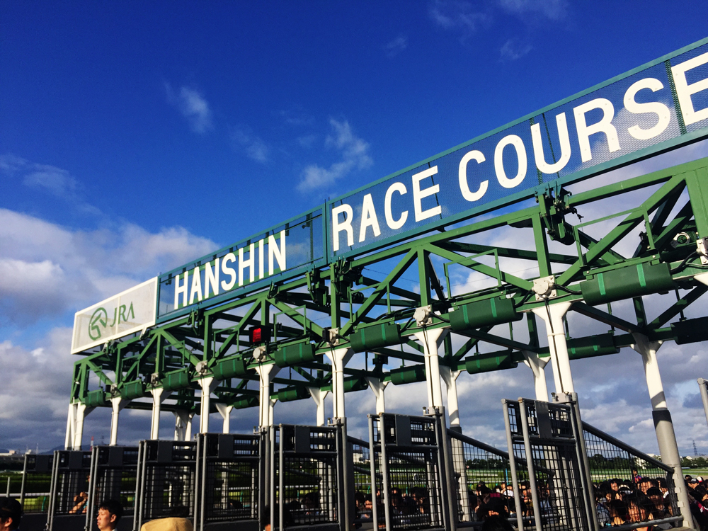 阪神競馬場 写真