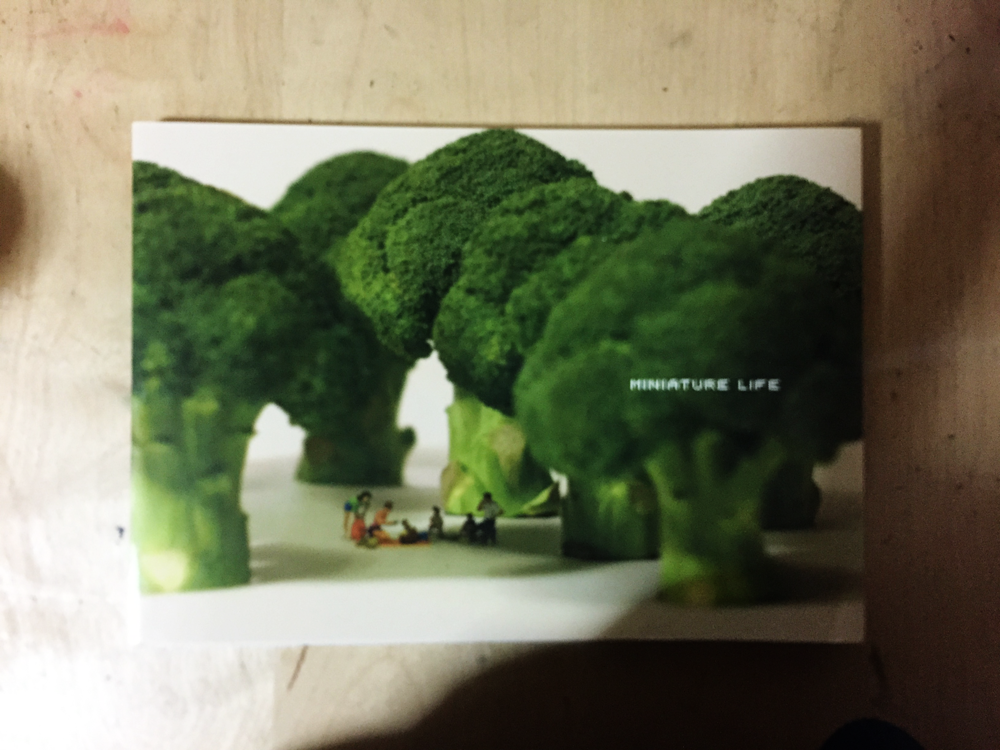 MINITURE LIFE 写真集