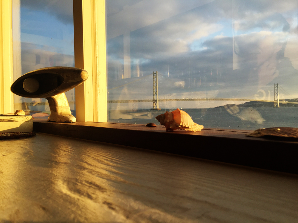 FIESTA（フィエスタ）店内