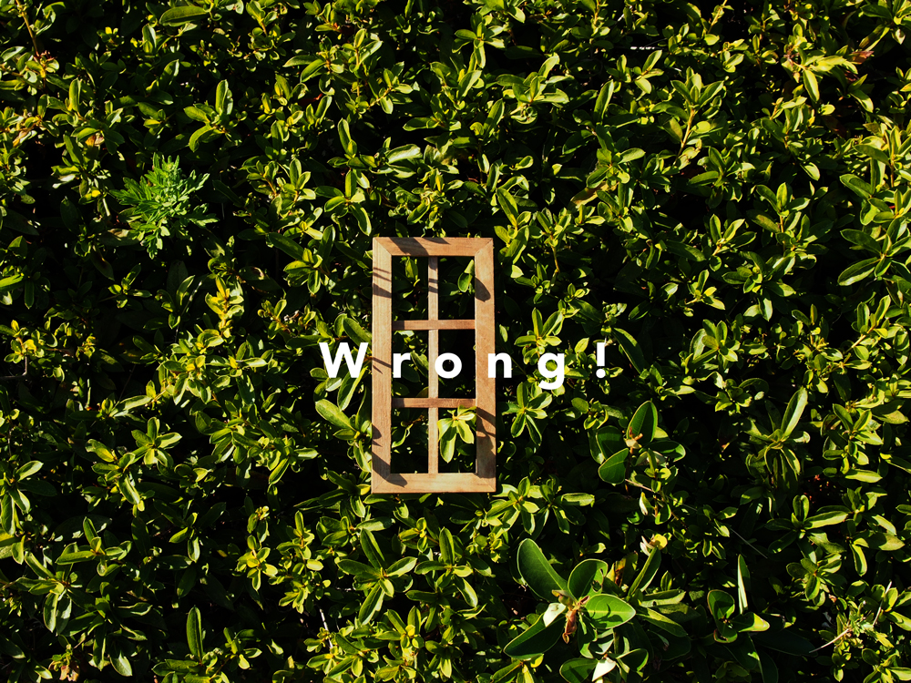 緑の中にあるドアの写真