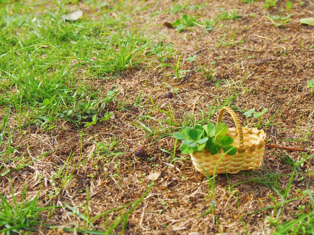 ミニチュア雑貨　写真