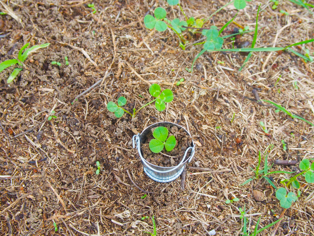 ミニチュア雑貨　写真