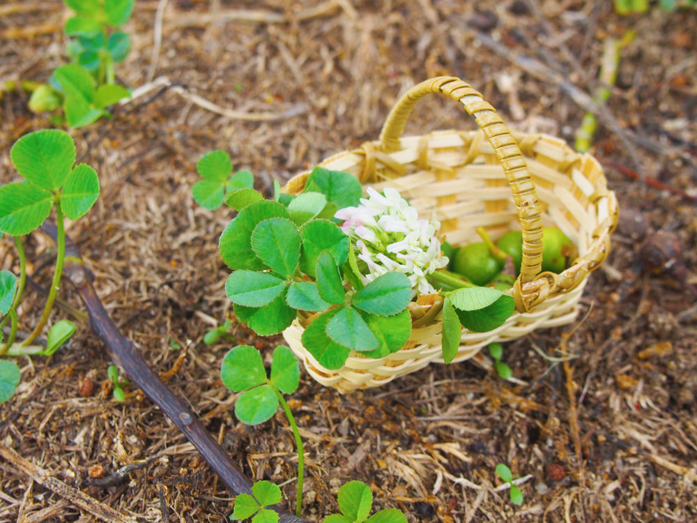 ミニチュア雑貨　写真