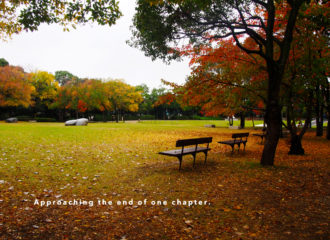 秋の公園の写真