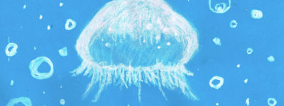 クラゲのイラストレーション