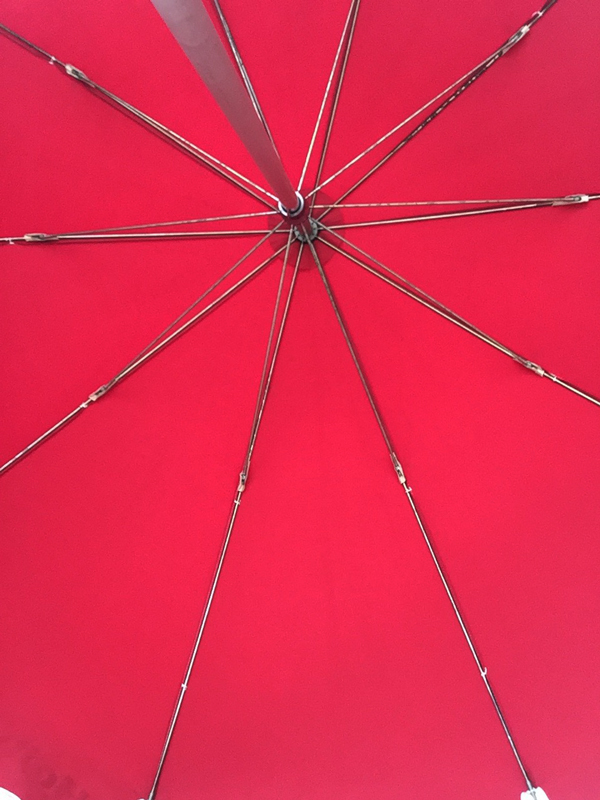 傘の写真