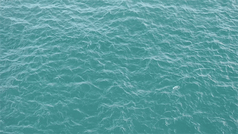 海のgifアニメーション
