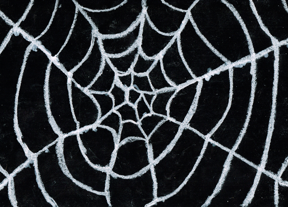 蜘蛛の巣のイラストレーション