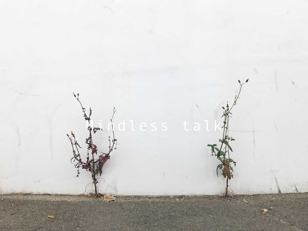 二本の木の写真