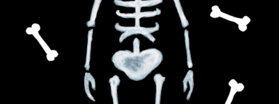 骸骨 イラストレーション