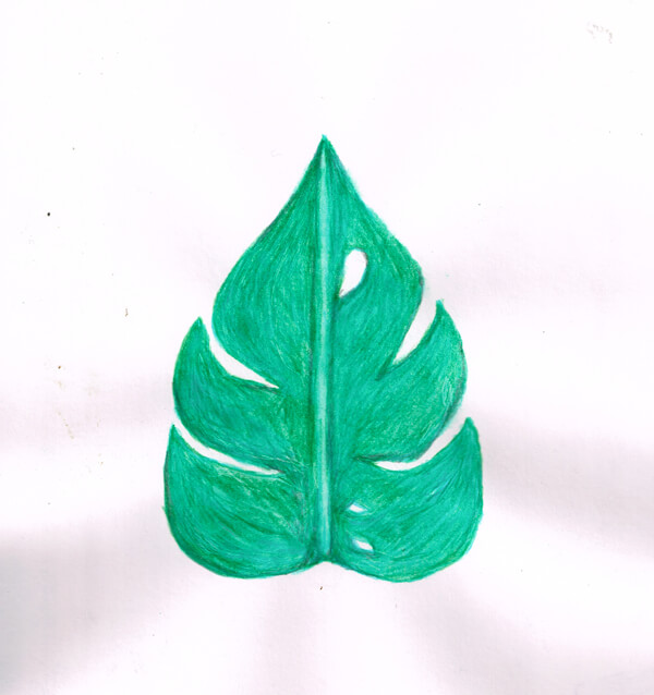 葉っぱ イラストレーション