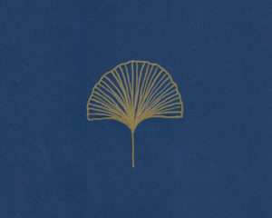 イチョウのイラストレーション