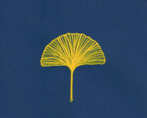 イチョウのイラストレーション