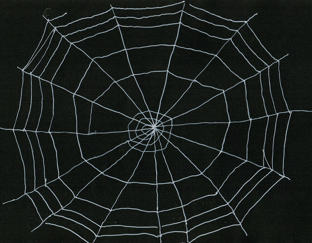 蜘蛛の巣 イラストレーション
