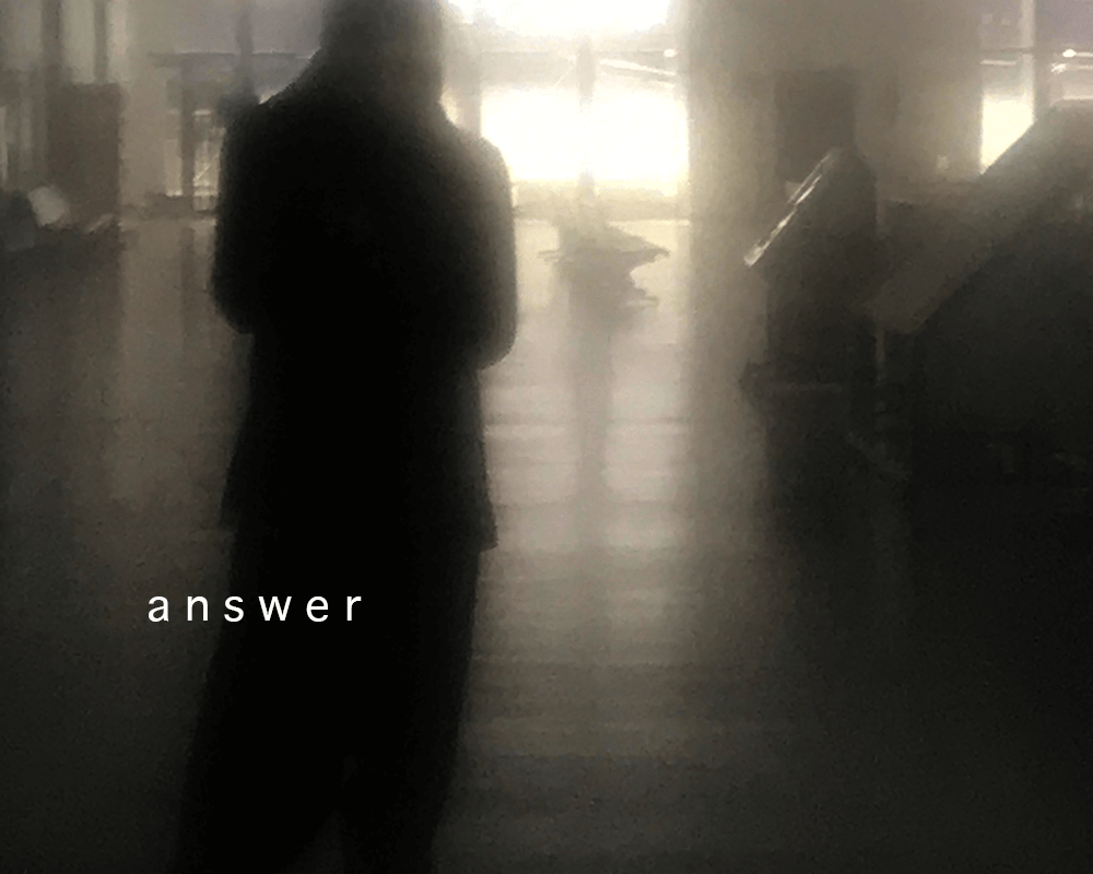 シルエットの写真