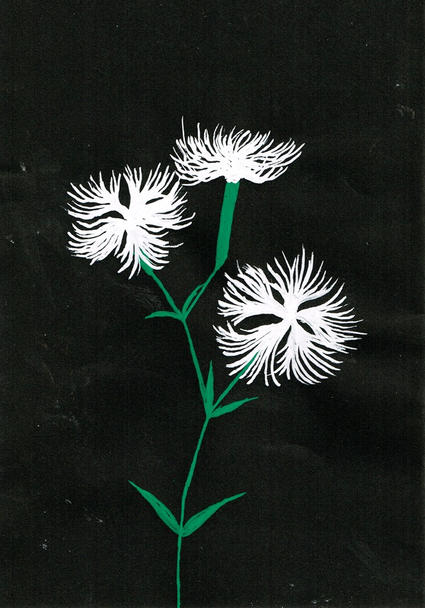 花　イラストレーション