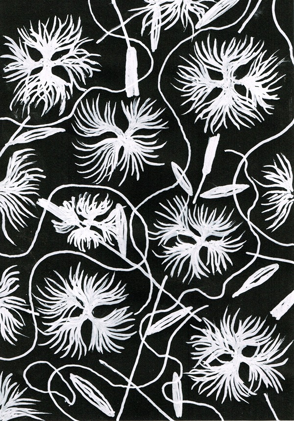 花　イラストレーション