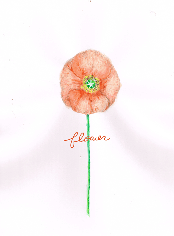 花　イラストレーション