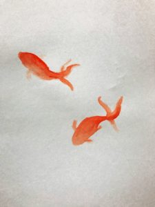 金魚　イラストレーション