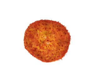 カレーパン　イラスト