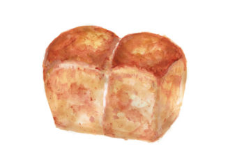 パンドミ　イラスト