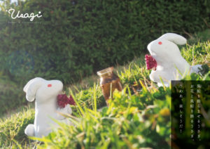 フラワー&バルーンショップ　花空間うさぎ　物語