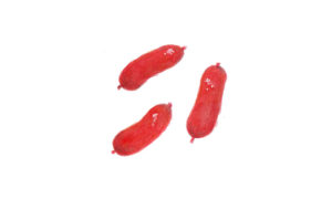 赤ウインナー　イラスト