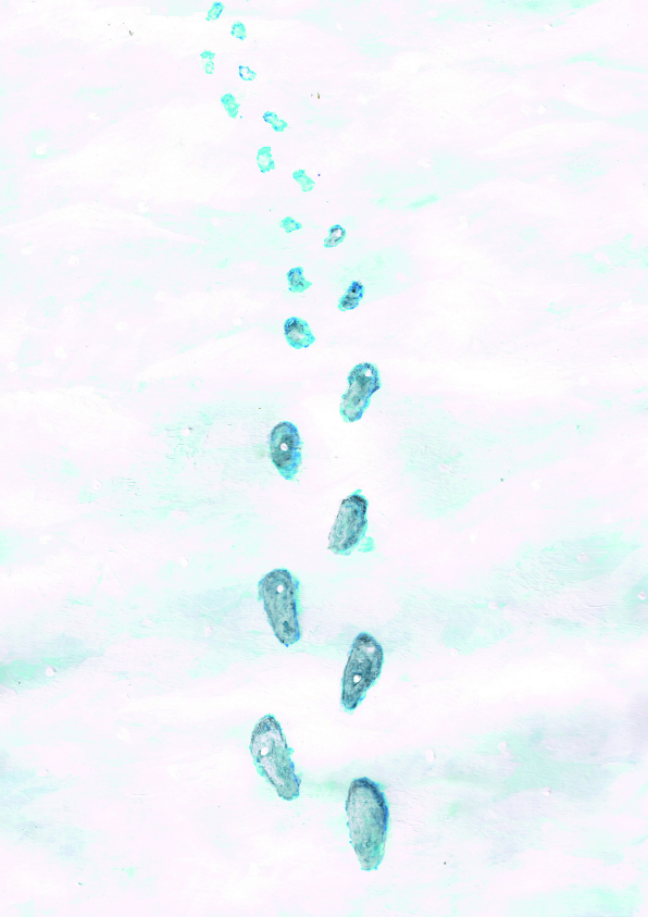 雪と足跡　イラスト