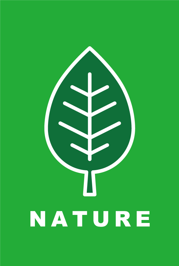 葉っぱ イラスト