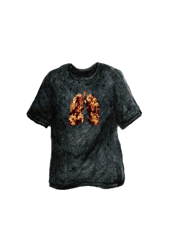 bow's T 肺 イラスト