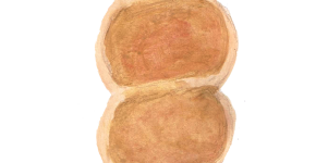 ぼうのパン　ツイストパン　イラスト