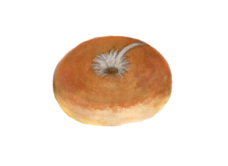 ぼうのパン ベーグル イラスト