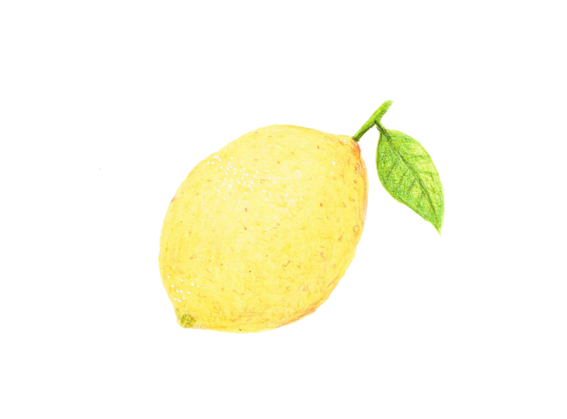 レモン イラスト