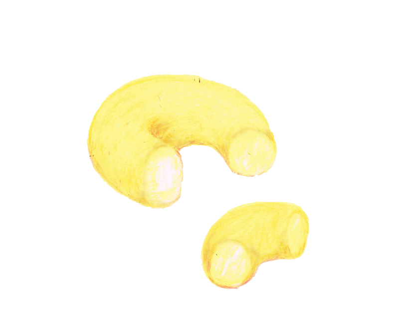 レモンドーナツ イラスト