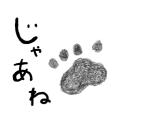 肉球　イラスト