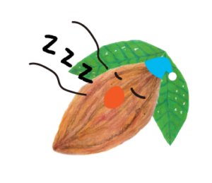 LINEスタンプ　眠るカカオ君　イラスト