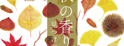 LINEスタンプ　秋の香り　見つけたよ