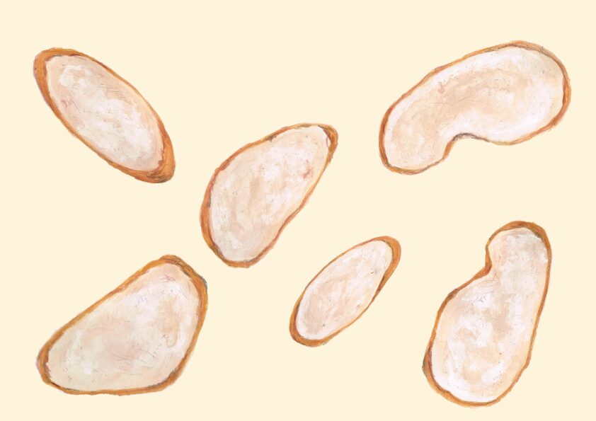 フランスパン　イラスト