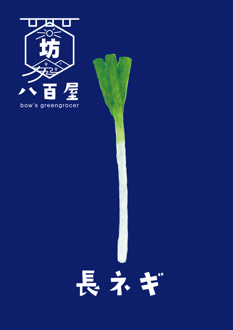 野菜　長ネギ　イラスト
