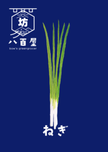 野菜　ねぎ　イラスト