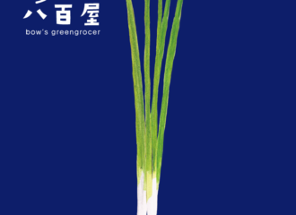 野菜　ねぎ　イラスト