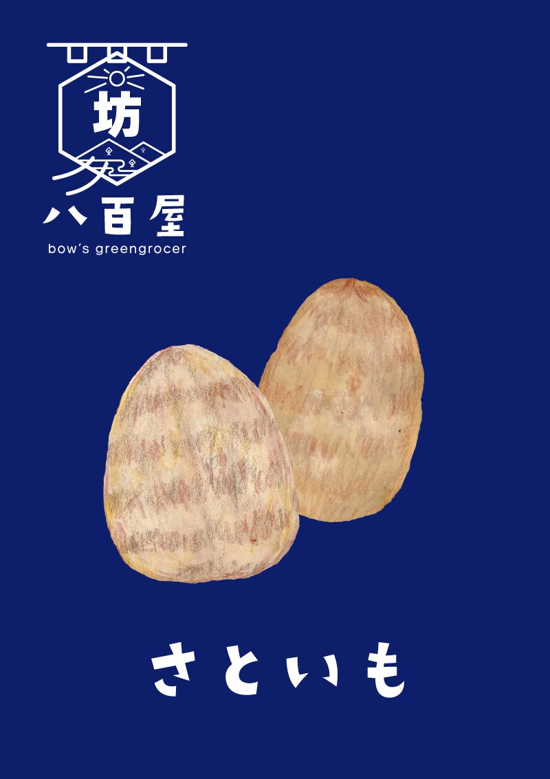 里芋　イラスト